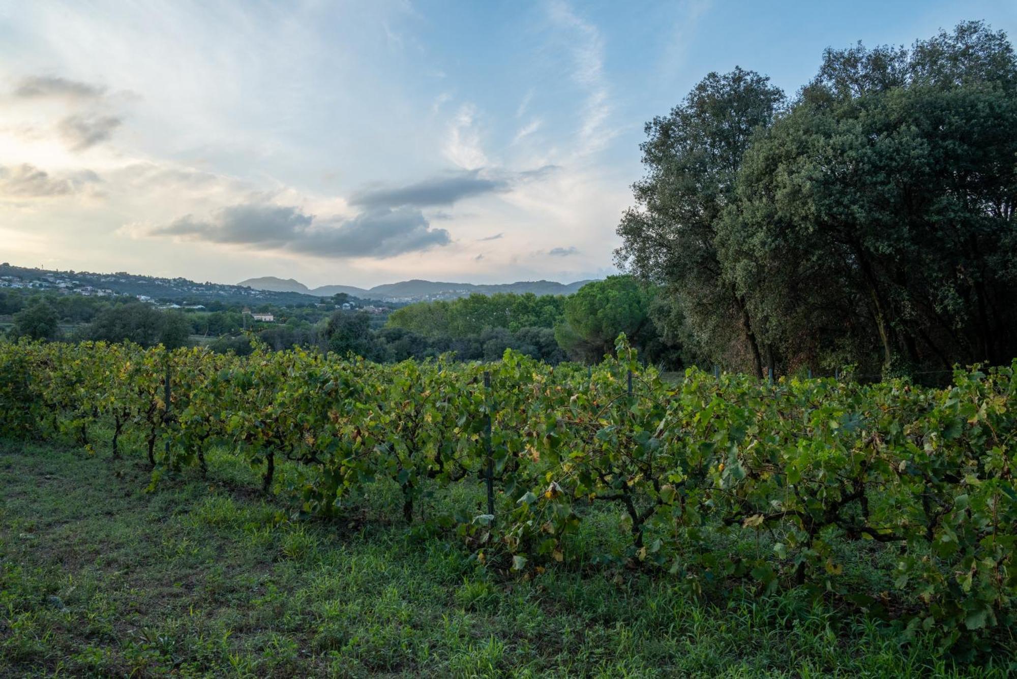 Santa Eulalia de Ronsaná Casa Rural El Bruguer Vell מראה חיצוני תמונה